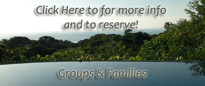 groups_pckgs_button.png